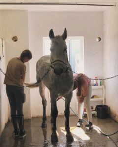 0457202C-D93A-4EDA-851E-A7F7822E945A