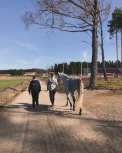 BD2EA282-CC8C-4161-B8A8-1395644EE1B3